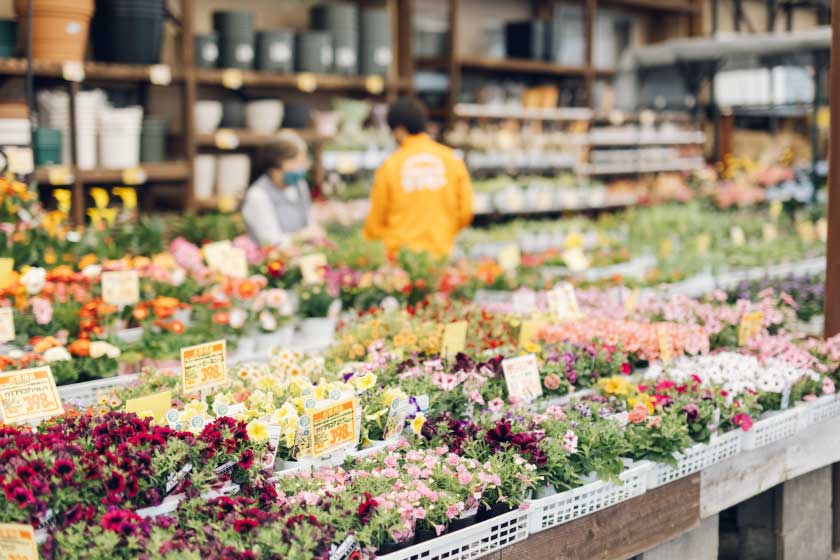 接客・課題解決提案